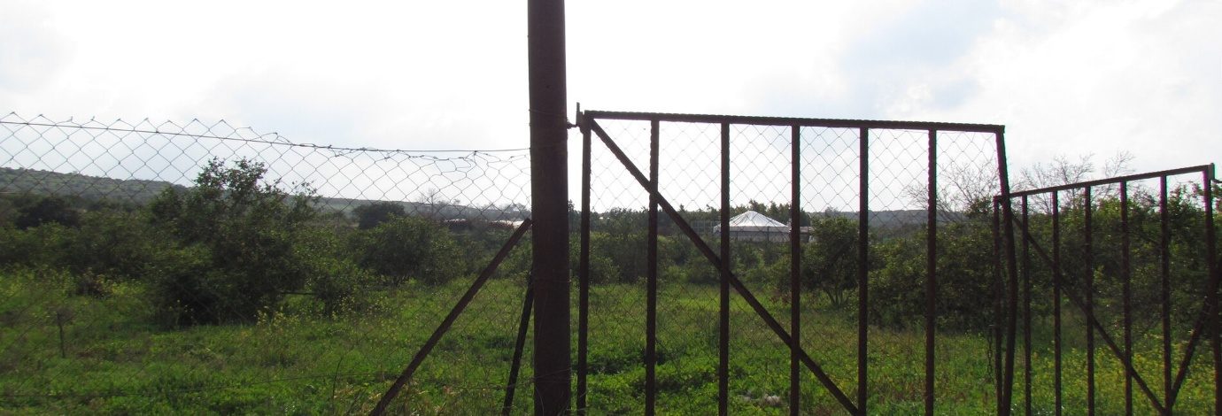 Overgrown fields behind a metal gate and a fence